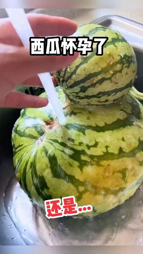 超市吃瓜搞笑视频大全,笑料百出欢乐无限
