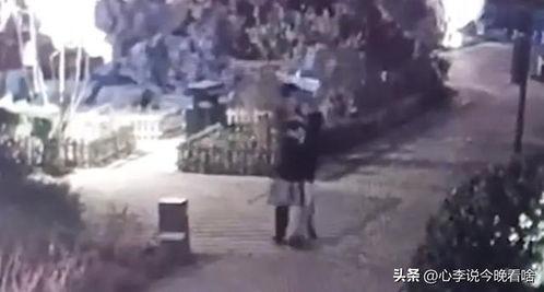 重庆文理吃瓜事件视频曝光,校园风波引发热议