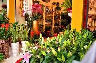 西安花店吃瓜事件真相视频,真相视频曝光背后的惊人内幕