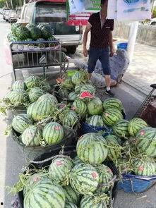 漳州永泰吃瓜事件视频曝光