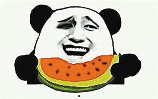 吃瓜群众嗑瓜子的视频,揭秘吃瓜群众嗑瓜子的欢乐时光