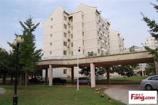 定州阳光尚都吃瓜视频,吃瓜群众揭秘社区生活百态