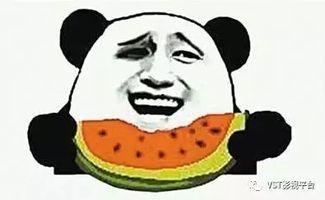 吃瓜群众惹错人视频大全,视频大全揭秘尴尬瞬间