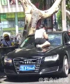 吃瓜群众抓小三最新视频,剧情反转引热议