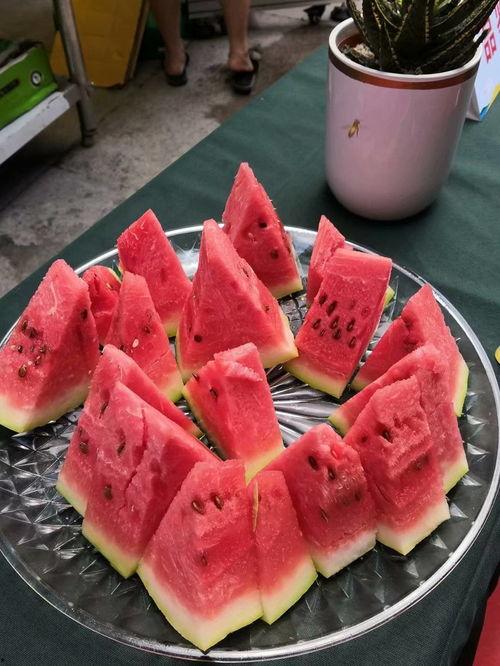 宁夏人吃瓜视频,一场视觉与味觉的盛宴