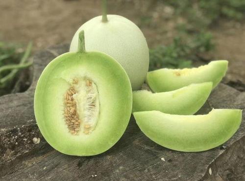 甜玉瓜怎么吃最好呢视频,视频教你轻松享美味