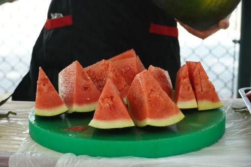 吃瓜的技术视频,跟随技术视频解锁美味秘诀